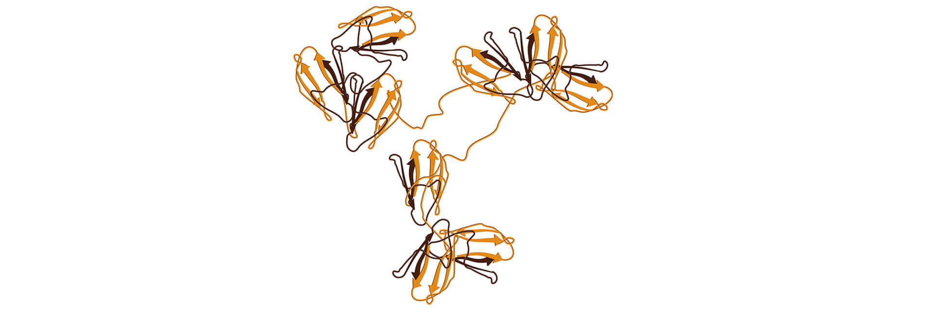 Sophion antibodies illustrations with Automated Patch Clamp