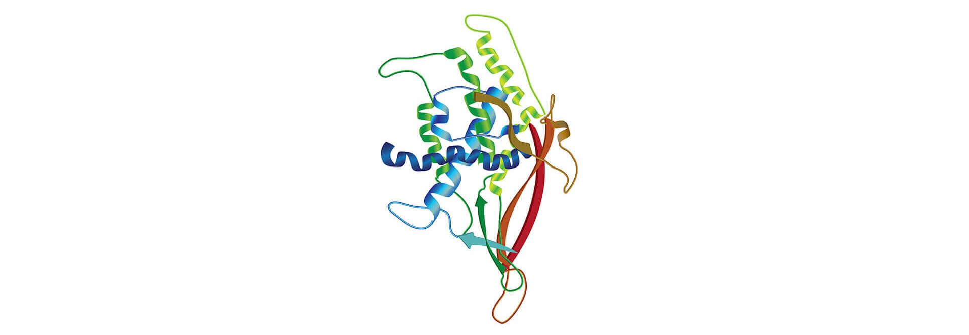 Sophion Wnt peptides illustrations with Automated Patch Clamp