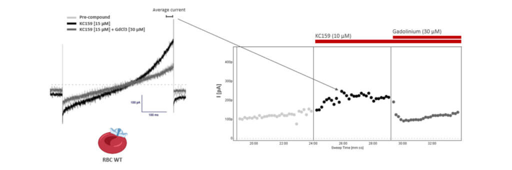 Organelles & small cells with Sophion automated patch clamp