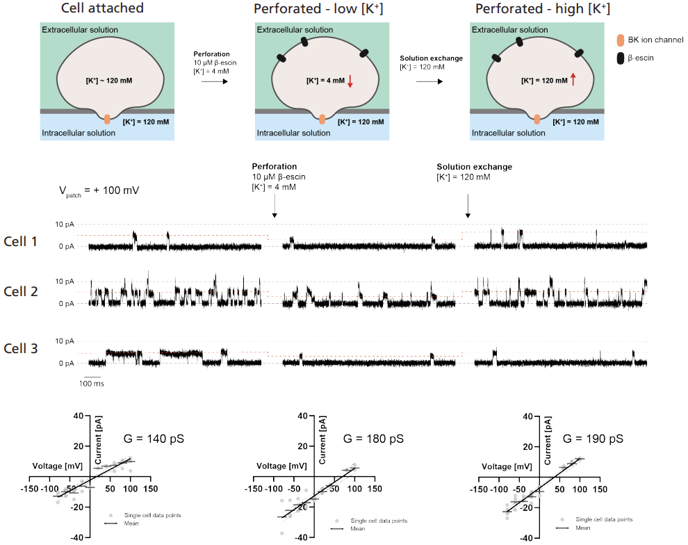 Single-channel-recording-current-affairs-figure-2